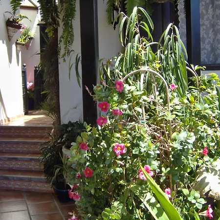 Apartament With Sea View For Adults Only